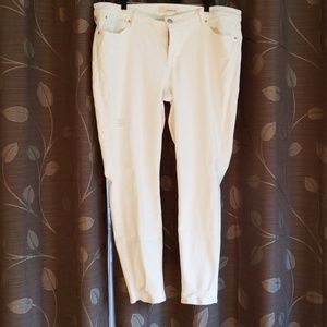 Maurice's Lightly Destructed Jeans Plus Size